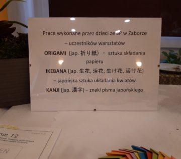 Relacja ze spotkania kończącego projekt 